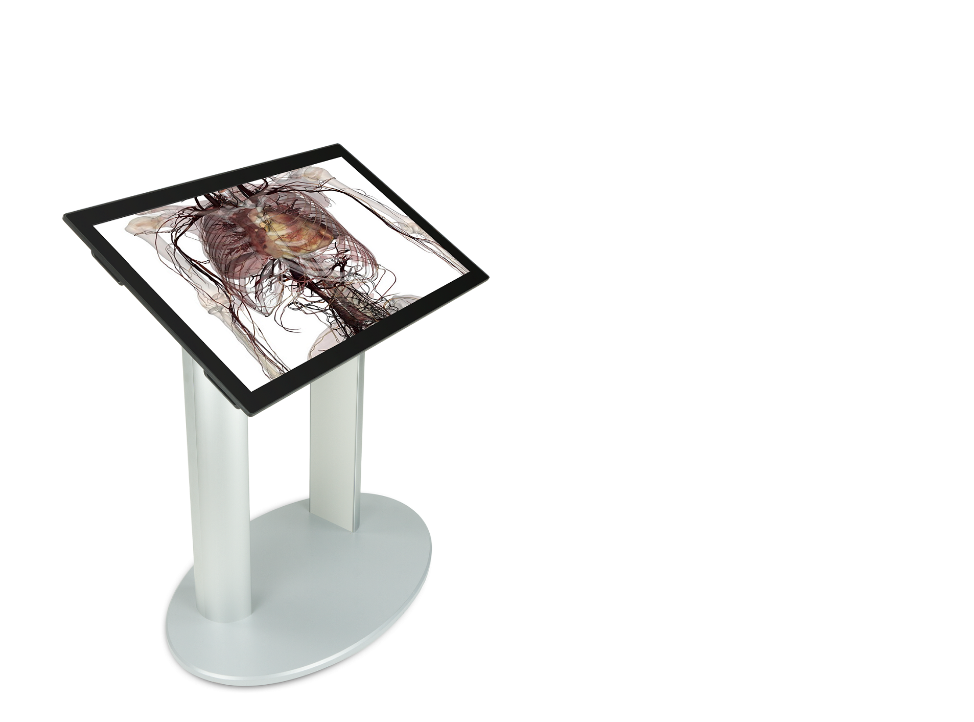 Table Alpha Anatomage