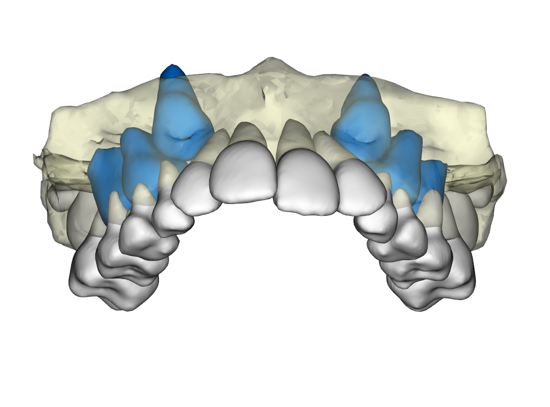 Anatomage In Vivo Viewer