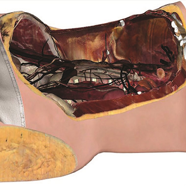 3D anatomy from real cadaver