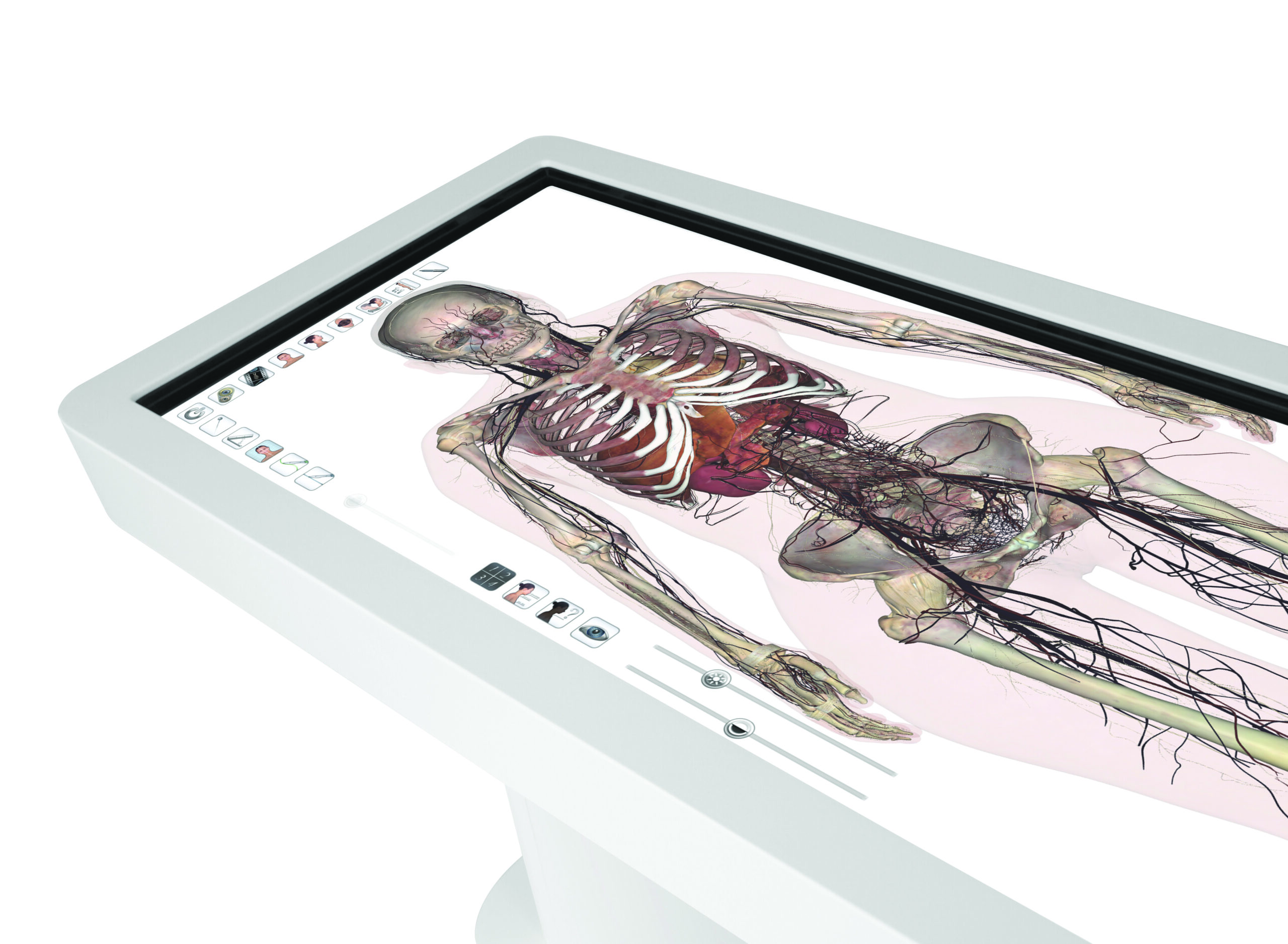 Our 3D Anatomy and Physiology Technology Anatomage Technology