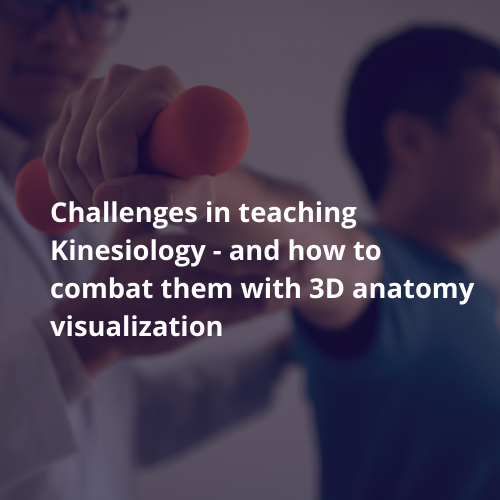 3D Kinesiology Simulation As Teaching Solutions